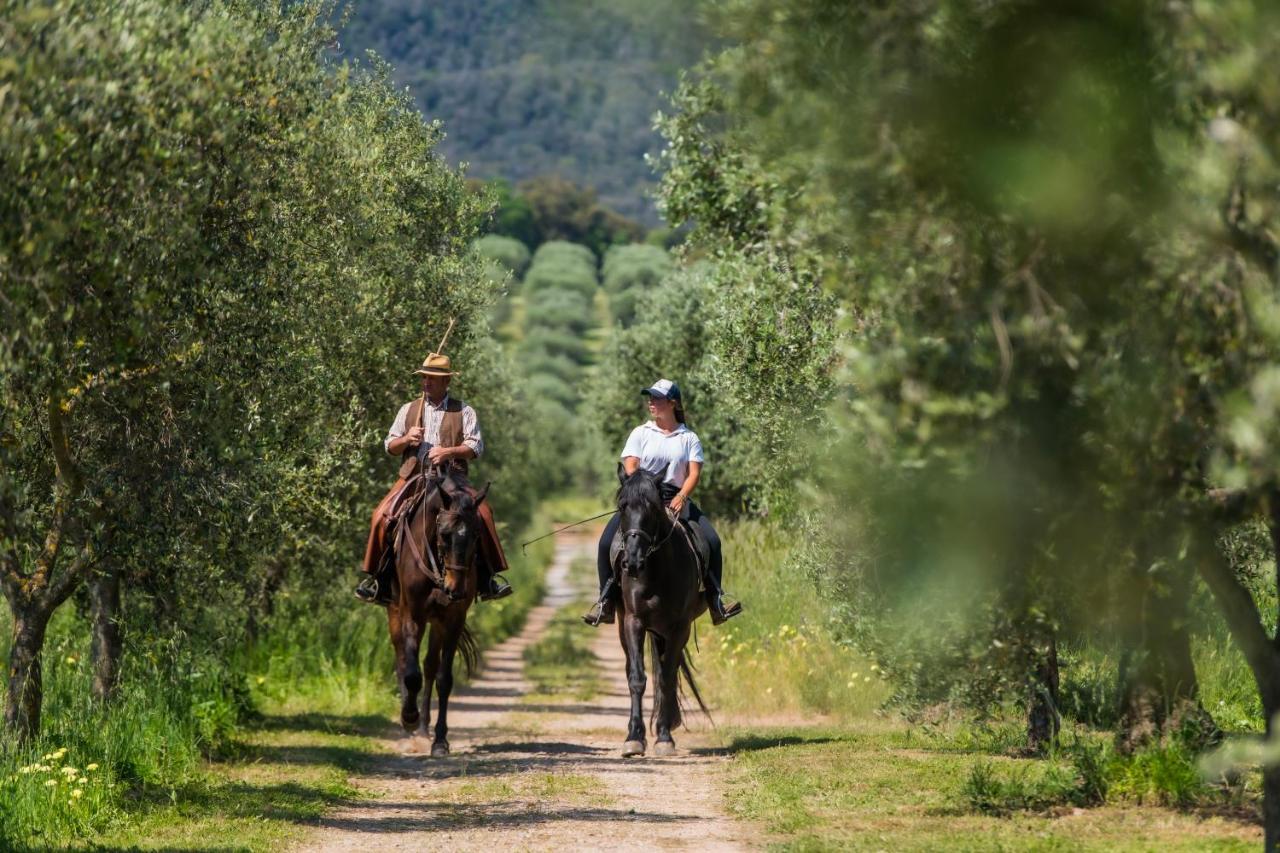 Tenuta Agricola Dell'Uccellina Magliano in Toscana Exterior photo