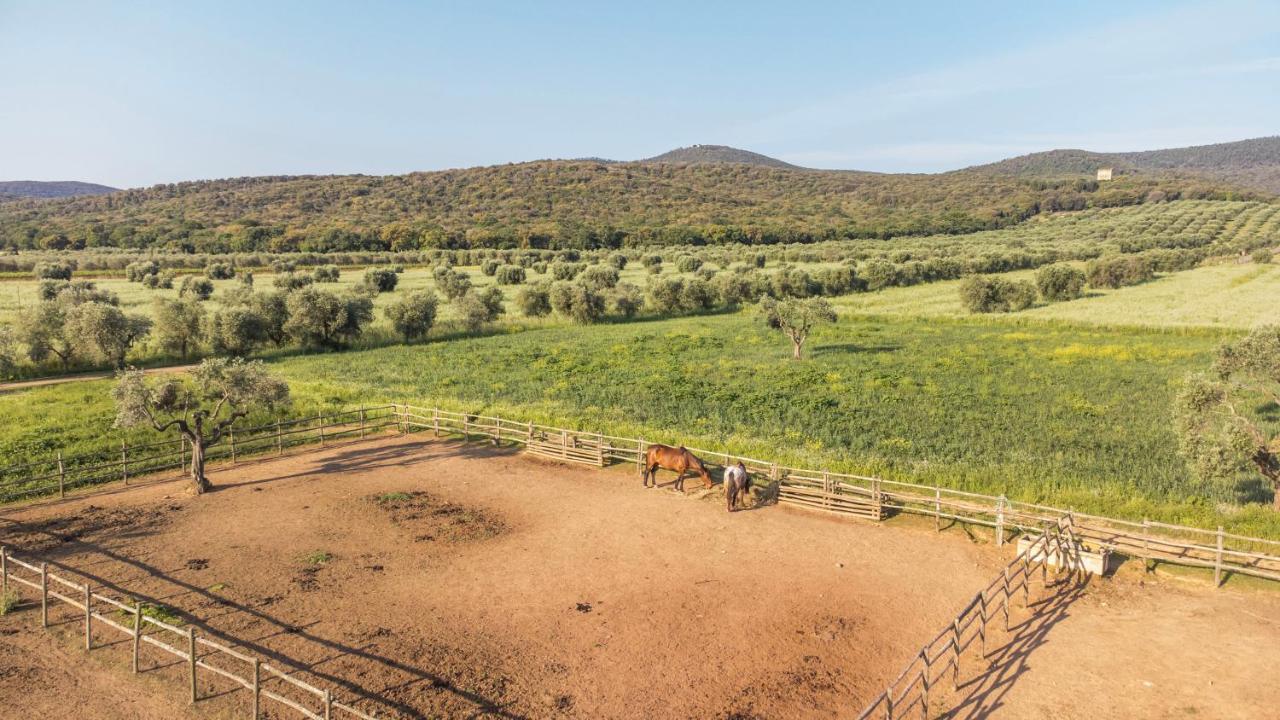Tenuta Agricola Dell'Uccellina Magliano in Toscana Exterior photo